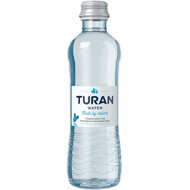 Turan минеральная негазированная вода стекло 0,25 л